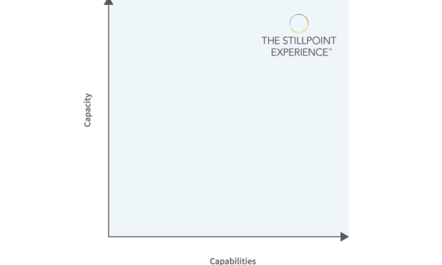 Go Vertical: The Singular Shift For Your Company’s Successful Future